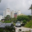 미소래공인중개사사무소 이미지