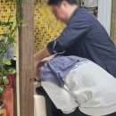 헤어몽 - 순천시 | 헤어몽