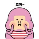 단콩 이미지
