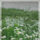 덕산로 이미지