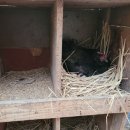 승모농장 이미지