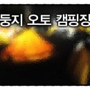 용문산 둥지 이미지