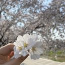 도다미 이미지