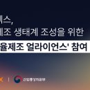 엑스 이미지