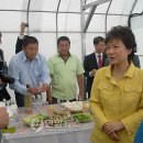 고우농장 이미지