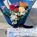 심고;바라보다