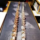 로뎀음악학원 이미지