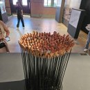 건축사사무소 성화 | [한백이야기] 토마스 헤더윅 전시관람-1