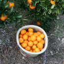 주헌 농장 이미지