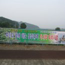 하천(금강) 이미지