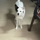 문정이네 미용실 | 10월 마지막 일상 모아모아~