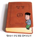 4월 성경읽기 입니다(안창호신부) 이미지
