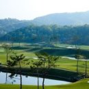 골프드래곤 이미지