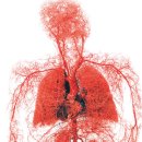 미소라인 이미지