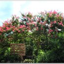 와보랑께박물관 이미지