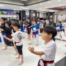 한국체대MTA태권도장 이미지