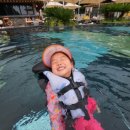 담느루 2 이미지