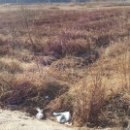 동읍사무소 이미지