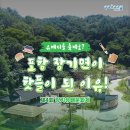 제4회 포항 장기유배문화제 이미지