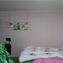 메종리브르 이미지