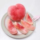 정담농장 | 정담아 농원 딱딱이 복숭아 추천 온라인 배송 후기 기대 이상