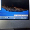 삼성울트라북 NT530U3C/i5 3337/ssd120g 조금 하자있는거 팝니다 이미지