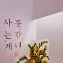 나우커피원당점