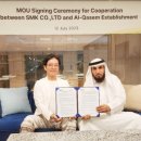 에스엠케이 이미지