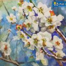 [북부] 수채화 이미지