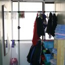 정진체육관 이미지