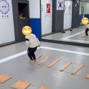 청우 태권도장 서울본관 이미지