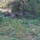 인암농원 이미지