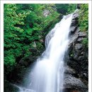 계곡&풍경 이미지