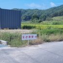 도산면_토계리_농로_017 | 안동 도산 온천 다녀왔습니다.
