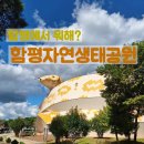 함평 유리네민박 이미지