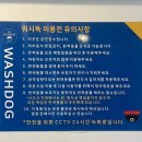 룸비니유치원 | 대구 애견 셀프목욕 24시 [워시독] + 이용방법, 후기