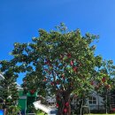 빌리지 당구클럽 이미지