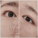 엘라인(L.Line) 이미지