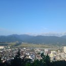 3422 한찬희 디카시 쓰기 이미지