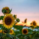 진안군농업기술센터 이미지