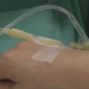 거제-거제-거제-비상-13 이미지