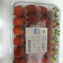 딸기마을 | 초록마을) 무농약 설향 딸기 후기