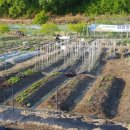 명곡농장 이미지