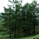 동천신명공인중개사사무소 이미지