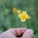 본성리미륵불 이미지