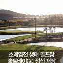 (주)성담솔트베이 이미지