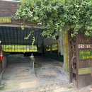 강릉아기동물농장 이미지