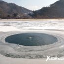 엑스게임리조트