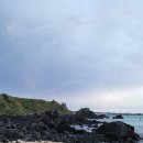 에벤에셀목장 | 5월 제주도