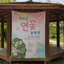 한국무용(우리춤체조) 이미지